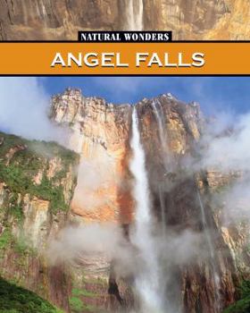 Hardcover Angel Falls Book