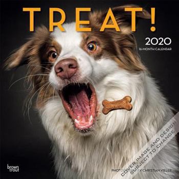 Calendar Treat 2020 Square Hachette Book