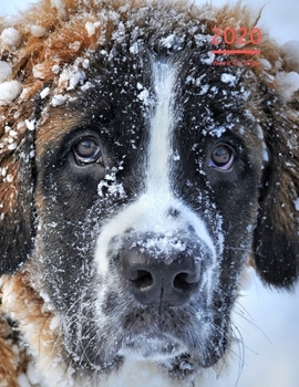 2020 A4 Diary Week To View Planner For All Occasions: | Year Planner For Business, Office, Home, University, College, School, Appointments, Organizer.