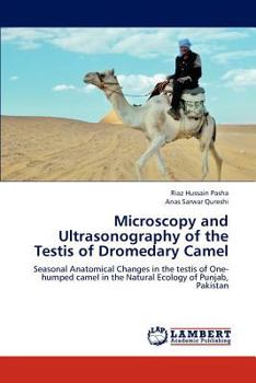 Microscopy and Ultrasonography of the Testis of Dromedary Camel: Seasonal Anatomical Changes in the testis of One-humped camel in the Natural Ecology of Punjab, Pakistan