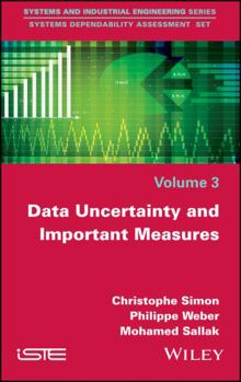 Hardcover Data Uncertainty and Important Measures Book