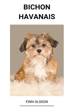 Paperback Bichon Havanais [Swedish] Book