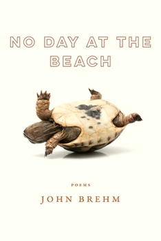 Paperback No Day at the Beach Book