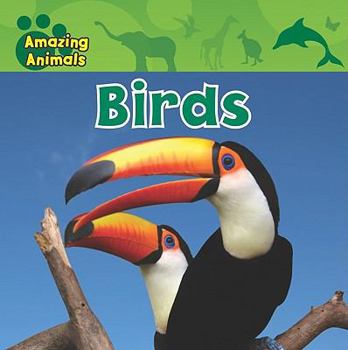 Birds - Book  of the Amazing Animals