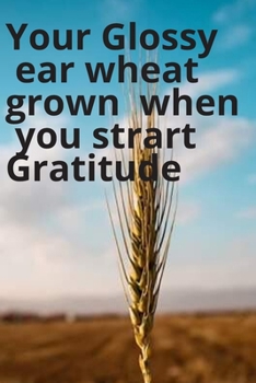 Paperback Your Glossy ear wheat grown when you start gratitude journal dairy gratitude Book