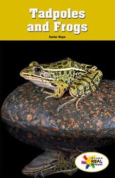 Paperback Tadpoles and Frogs Book