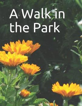 Paperback A Walk in the Park: A senior reader picture book for memory care / dementia care Book