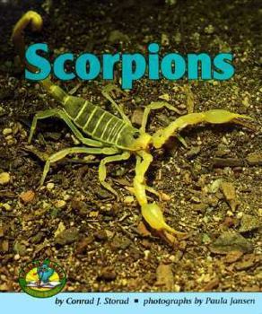 Hardcover Scorpions Book