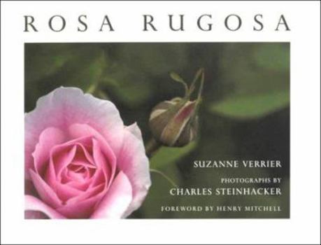 Paperback Rosa Rugosa Book