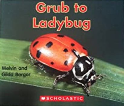 Paperback Grub to Ladybug Book