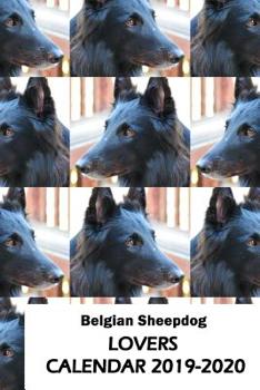 Paperback Belgian Sheepdog Lovers Calendar 2019-2020 Book