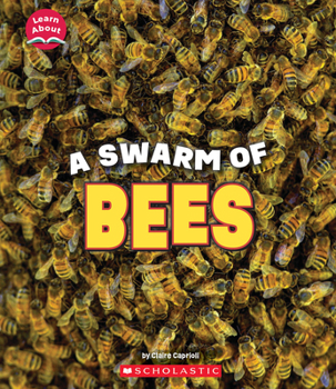 Hardcover A Swarm of Bees (Learn About: Animals) Book