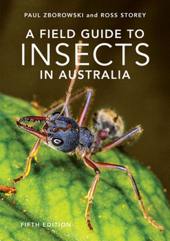 Paperback A Field Guide to Insects of Australia: Volume 5 Book