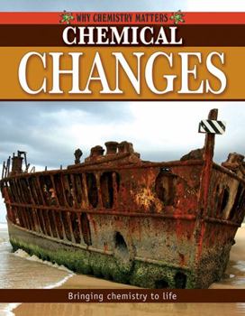 Paperback Chemical Changes Book