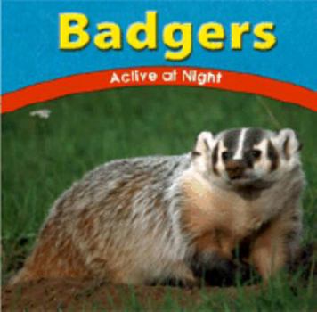 Hardcover Badgers: Active at Night Book