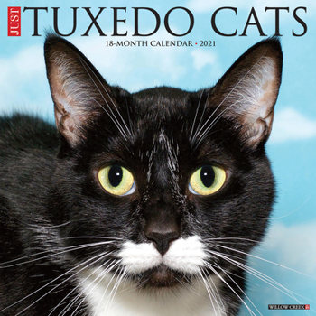 Calendar Just Tuxedo Cats 2021 Wall Calendar Book