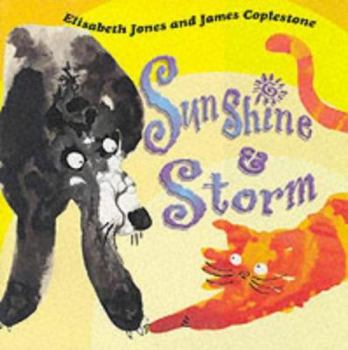 Paperback Sunshine and Storm Book