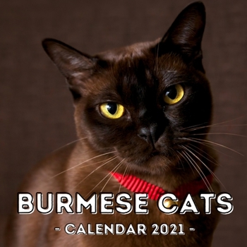 Paperback Burmese Cats: 2021 Wall Calendar, Cute Gift Idea For Burmese Cat Lovers Or Owners Men And Women Book