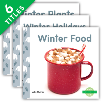 Library Binding Seasons: Winter Wonder! (Set) Book