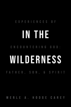 Paperback In the Wilderness: Experiences of Encountering God: Father, Son, and Spirit Book