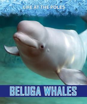 Paperback Beluga Whales Book