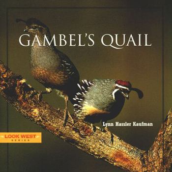Hardcover Gambel's Quail Book