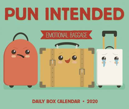 Calendar Pun Intended 2020 Box Calendar Book