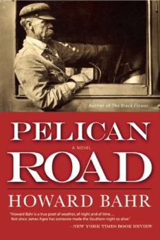 Hardcover Pelican Road Book