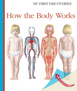 Spiral-bound How the Body Works Book
