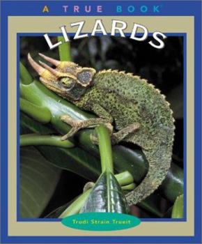 Paperback Lizards Book