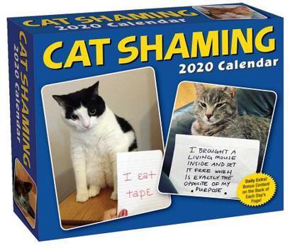 Calendar Cat Shaming 2020 Day-To-Day Calendar Book