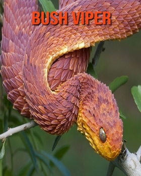 Paperback Bush Viper: Amazing Facts about Bush Viper Book