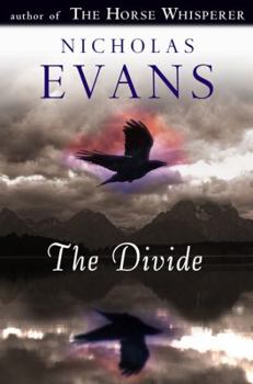 Hardcover The Divide Book