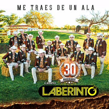 Music - CD Me Traes De Un Ala [Spanish] Book