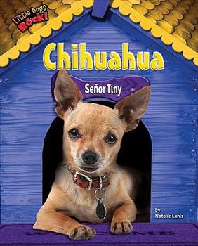 Library Binding Chihuahua: Senor Tiny Book