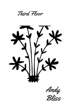 Paperback Third Floor Book