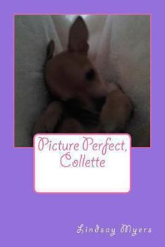 Paperback Picture Perfect, Collette: My Baby Book