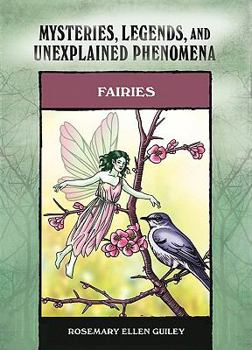 Library Binding Fairies Book