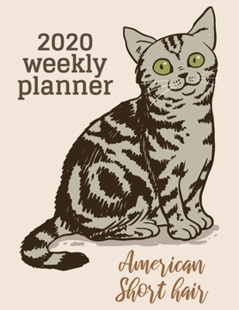 2020 Weekly Planner: American Short Hair Cat Lover Gift, Dated Weekly Planner With To Do Notes & Year At A Glance and More.