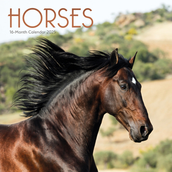 Calendar 2025 Horses Wall Calendar Book