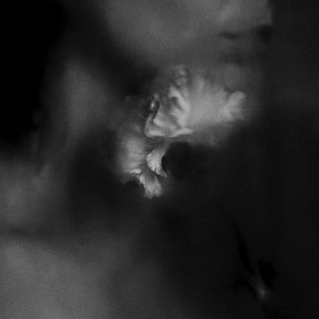Music - CD Holding Absence Book