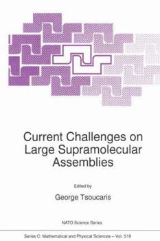 Paperback Current Challenges on Large Supramolecular Assemblies Book