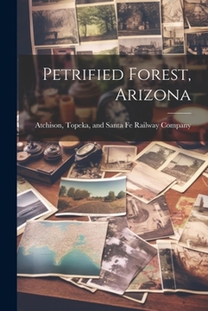 Paperback Petrified Forest, Arizona Book