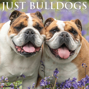 Calendar Just Bulldogs 2025 12 X 12 Wall Calendar Book