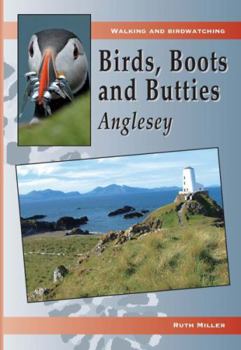 Paperback Anglesey Book