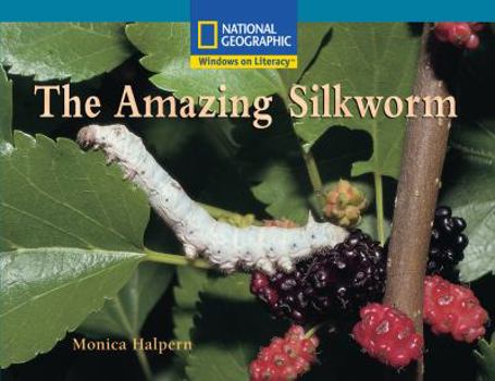 Paperback Windows on Literacy Fluent Plus (Science: Life Science): The Amazing Silkworm Book
