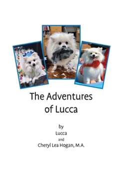 Paperback The Adventures of Lucca Book