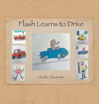 Hardcover Flash Learns to Drive Book