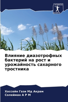 Paperback Влияние диазотрофных ба& [Russian] Book
