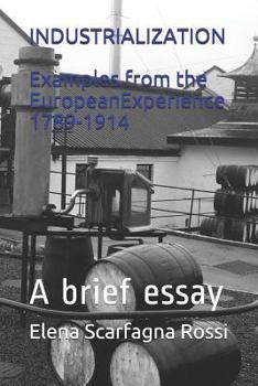 Paperback Industrialization Examples from the European Experience 1789-1914: A Brief Essay Book